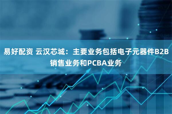 易好配资 云汉芯城：主要业务包括电子元器件B2B销售业务和PCBA业务