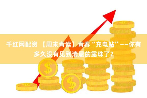 千红网配资 【周末青读】青春“充电站”——你有多久没有见到清晨的露珠了？